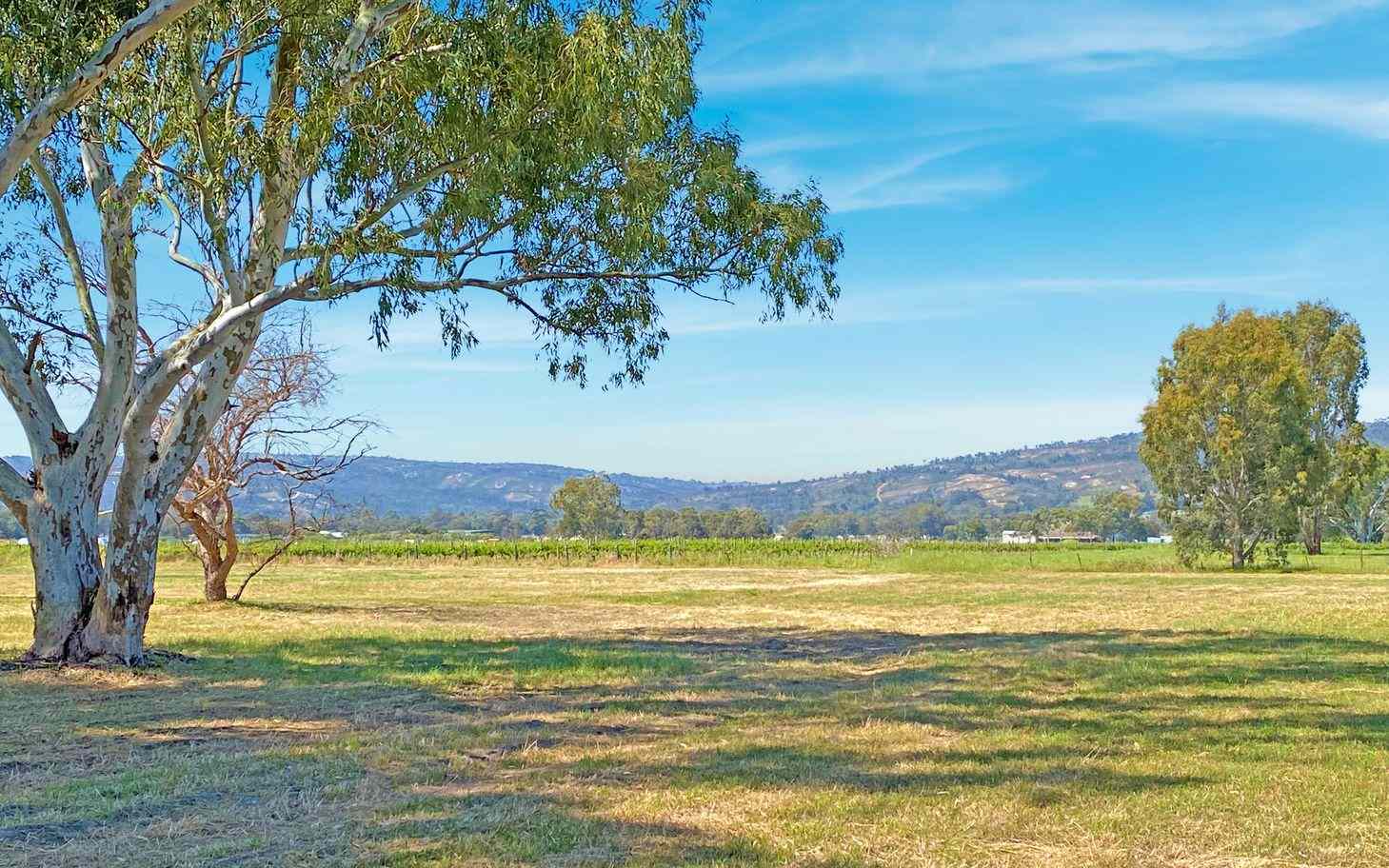 178 Lefroy Avenue, HERNE HILL, WA 6056 - House for Sale - harcourts.net: WA Herne Hill, WA 6056 House | Prop-GPT the AI-Powered Property Portal