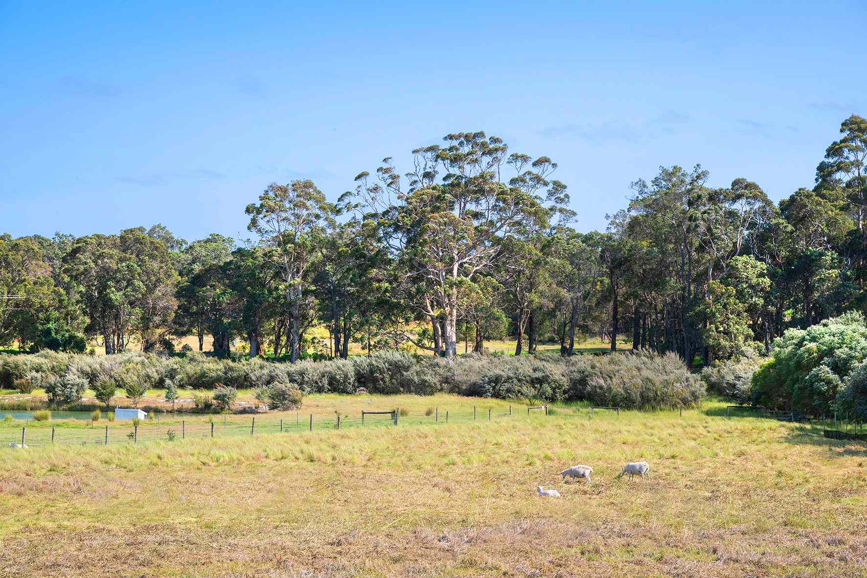 Your canvas awaits: WA Cowaramup, WA 6284 Land | Prop-GPT the AI-Powered Property Portal