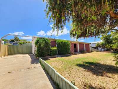 Rare Find!: WA East Carnarvon, WA 6701 House | Prop-GPT the AI-Powered Property Portal
