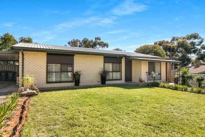 A Rare Opportunity in Central Berri!: SA Berri, SA 5343 House | Prop-GPT the AI-Powered Property Portal