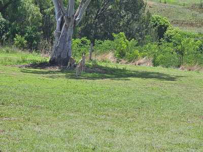 ON THE BANK OF MILLAR VALE CREEK: QLD Maryvale, QLD 4370 Land | Prop-GPT the AI-Powered Property Portal