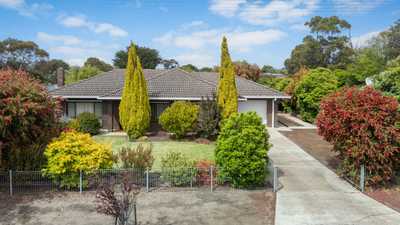 Fabulous Well-built Home and Gardens in Country SA.: SA Millicent, SA 5280 House | Prop-GPT the AI-Powered Property Portal