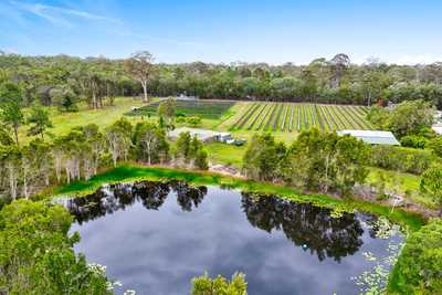 Look at Me!  What could you do here?: QLD Goomboorian, QLD 4570 Other | Prop-GPT the AI-Powered Property Portal