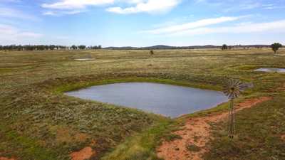 A mixed farming haven - cropping & livestock: NSW Tullamore, NSW 2874 Mixed Farming | Prop-GPT the AI-Powered Property Portal