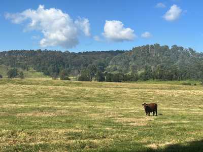 Coming Soon - 40 Acres on the Mary River at Tuchekoi: QLD Tuchekoi, QLD 4570 Land | Prop-GPT the AI-Powered Property Portal