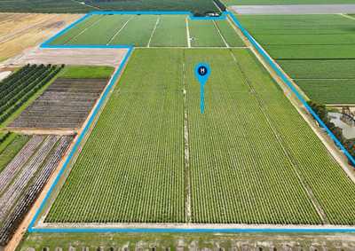 Lot 2 Barazzas Road, ALLOWAY, QLD 4670 - Horticulture for Sale - harcourts.net: QLD Alloway, QLD 4670 Property | Prop-GPT the AI-Powered Property Portal