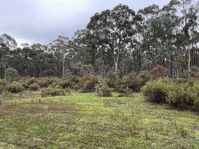Seeking a bushland retreat?: VIC Wellsford, VIC 3551 Other | Prop-GPT the AI-Powered Property Portal