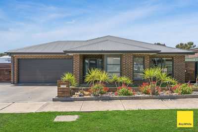 Immaculate Family Living in the Heart of Maiden Gully: VIC Maiden Gully, VIC 3551 House | Prop-GPT the AI-Powered Property Portal