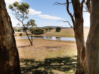 167 Acres to Graze, Crop or Build a Rural Retreat: SA Nangkita, SA 5210 Land | Prop-GPT the AI-Powered Property Portal