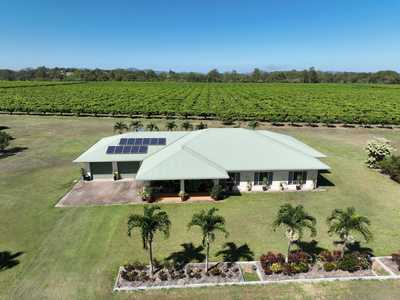 HIGH-PRODUCTION MANGO & LIME FARM + FULL PACKING FACILITIES + TWO HOMES: QLD Chewko, QLD 4880 Horticulture | Prop-GPT the AI-Powered Property Portal