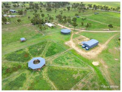 Springton Park: A Premier Equine Estate: QLD Mulara, QLD 4703 House | Prop-GPT the AI-Powered Property Portal