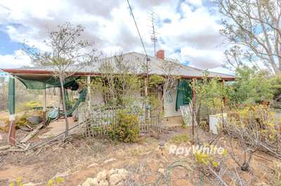 Roll up your sleeves to reap the rewards!: VIC Walpeup, VIC 3507 House | Prop-GPT the AI-Powered Property Portal