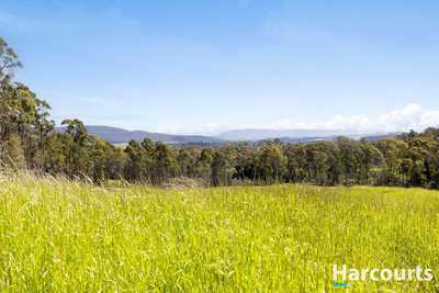 420 Bradys Plain Road, PARKHAM, TAS 7304 - Land for Sale - harcourts.net: TAS Parkham, TAS 7304 Land | Prop-GPT the AI-Powered Property Portal