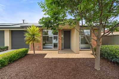 Light-Filled Living in a Beautifully Presented Home: SA Oaklands Park, SA 5046 House | Prop-GPT the AI-Powered Property Portal