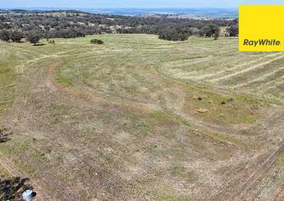 'Breeder or Backgrounding Operation': NSW Delungra, NSW 2403 Other | Prop-GPT the AI-Powered Property Portal