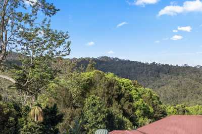 Stylish family Entertainer with Resort Style Living!: QLD Canungra, QLD 4275 House | Prop-GPT the AI-Powered Property Portal