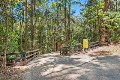 Rainforest Paradise: QLD Tamborine Mountain, QLD 4272 Land | Prop-GPT the AI-Powered Property Portal