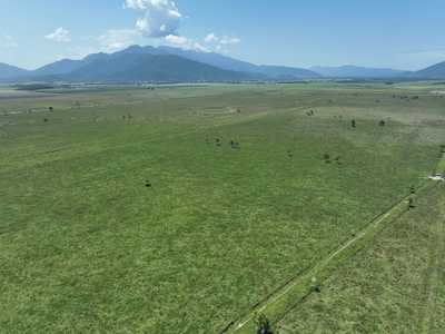 PRODUCTIVE FLATS - PRIME CATTLE FATTENING ENTERPRISE: QLD Mirriwinni, QLD 4871 Other | Prop-GPT the AI-Powered Property Portal