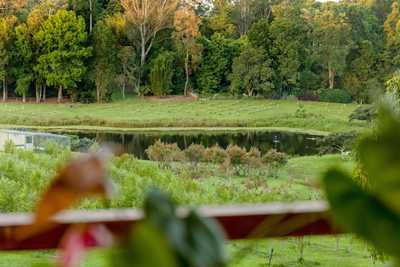 An elevated lifestyle with space, privacy and an outlook that feels like twenty acres: QLD Witta, QLD 4552 House | Prop-GPT the AI-Powered Property Portal