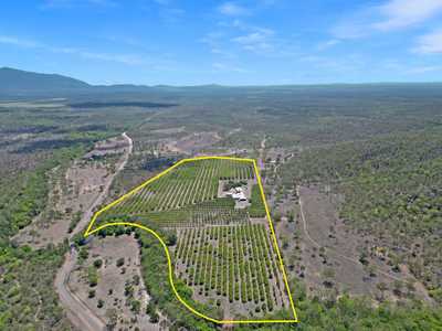 CREEKSIDE HOMESTEAD AND MANGO FARM: QLD Woodstock, QLD 4816 Other | Prop-GPT the AI-Powered Property Portal