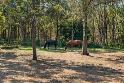 A Rural Yet Coastal and Convenient Lifestyle Opportunity. Family Acres only 250m from Tuggerah Lakes.: NSW Tuggerawong, NSW 2259 Acreage/Semi-Rural | Prop-GPT the AI-Powered Property Portal