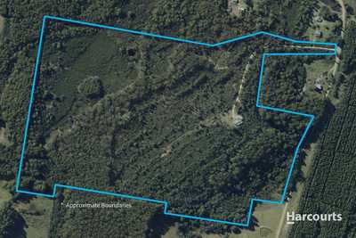 24 Radnor Road, PORT ARTHUR, TAS 7182 - Land for Sale - harcourts.net: TAS Port Arthur, TAS 7182 Land | Prop-GPT the AI-Powered Property Portal