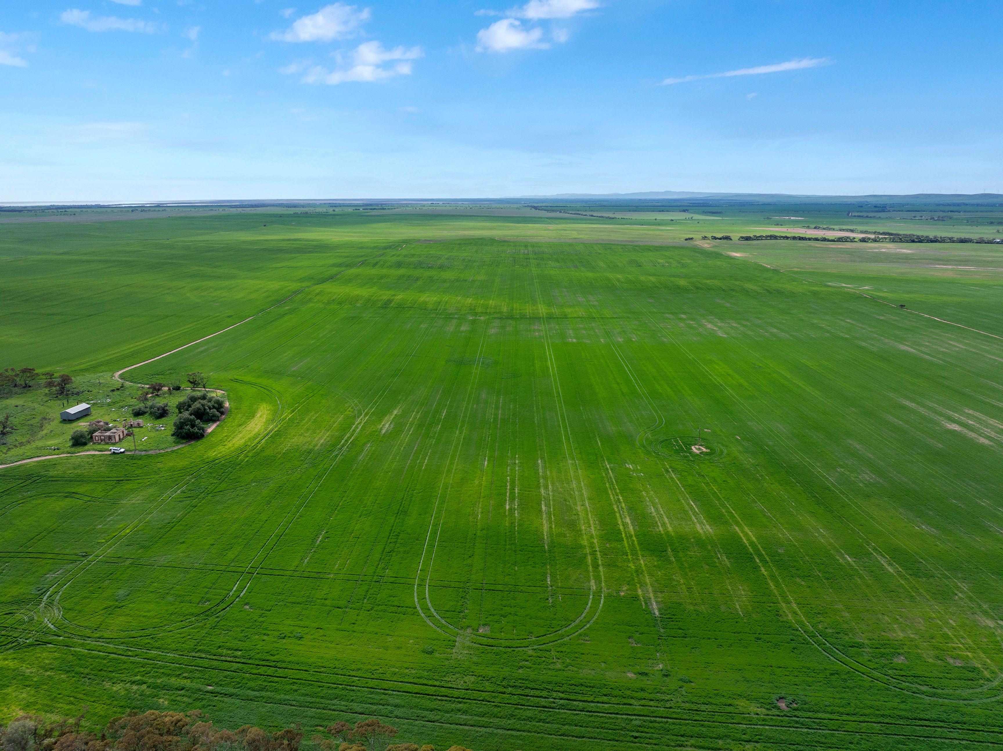 Versatile Dryland Cropping Property