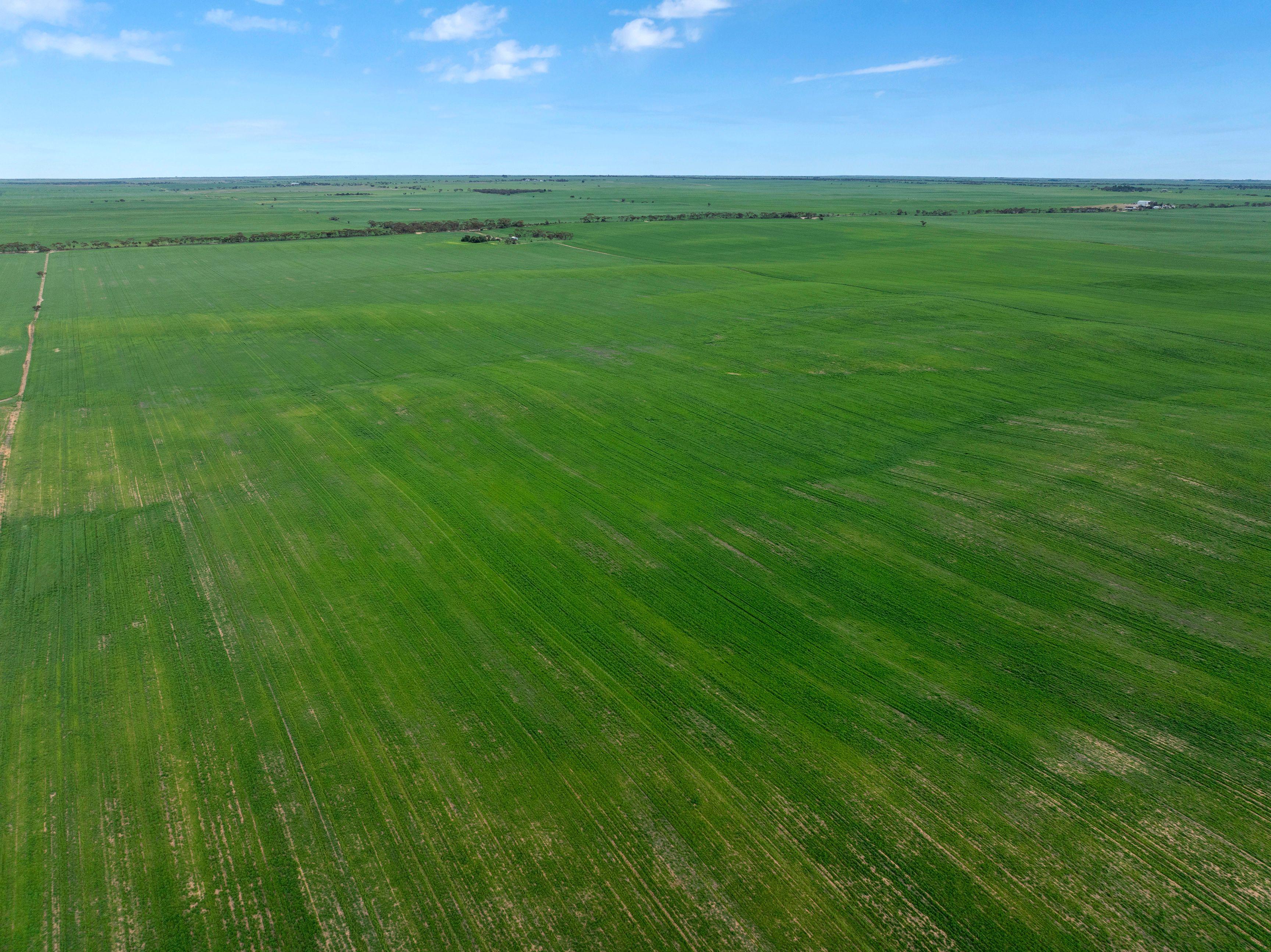 Versatile Dryland Cropping Property