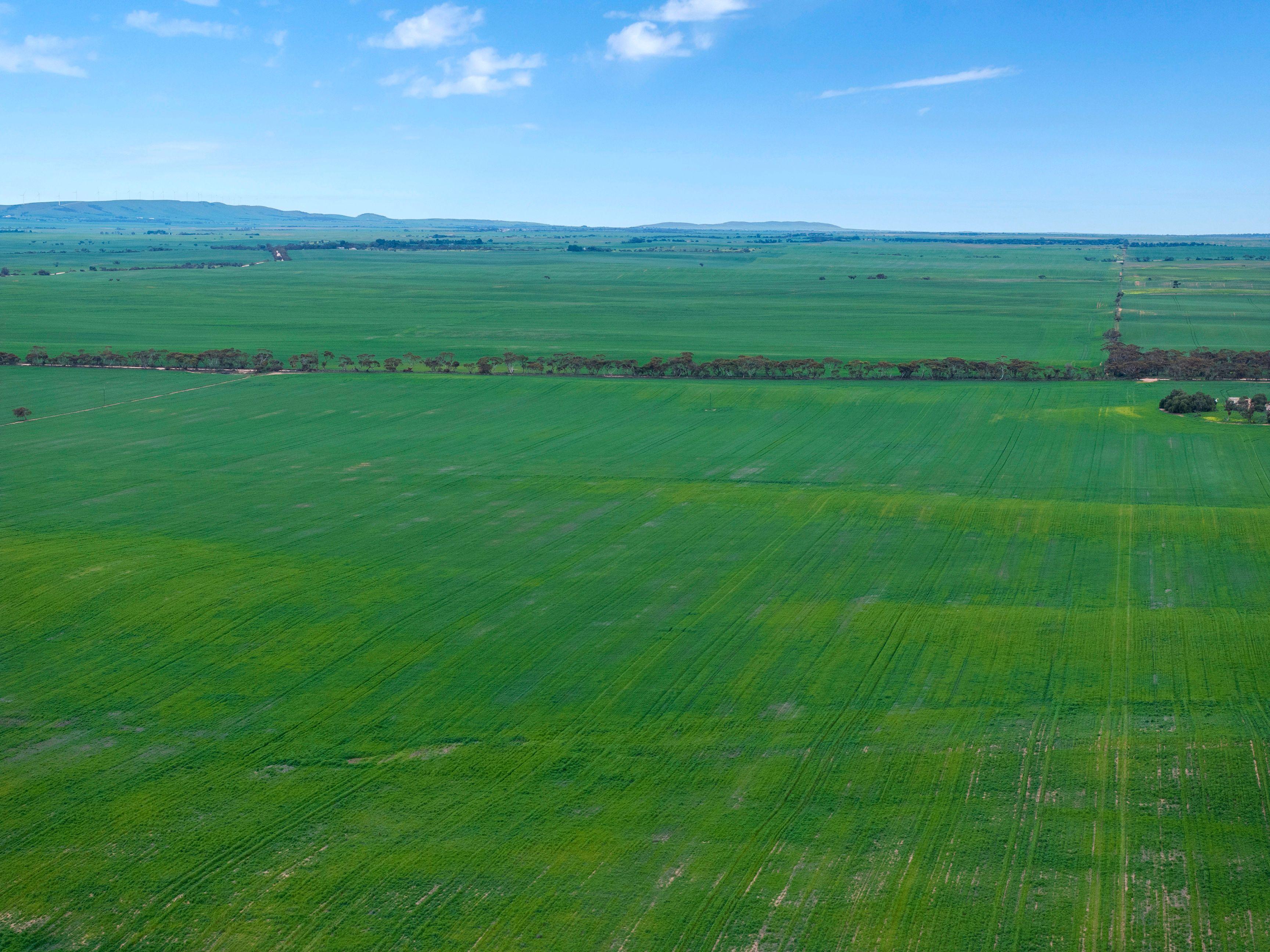 Versatile Dryland Cropping Property