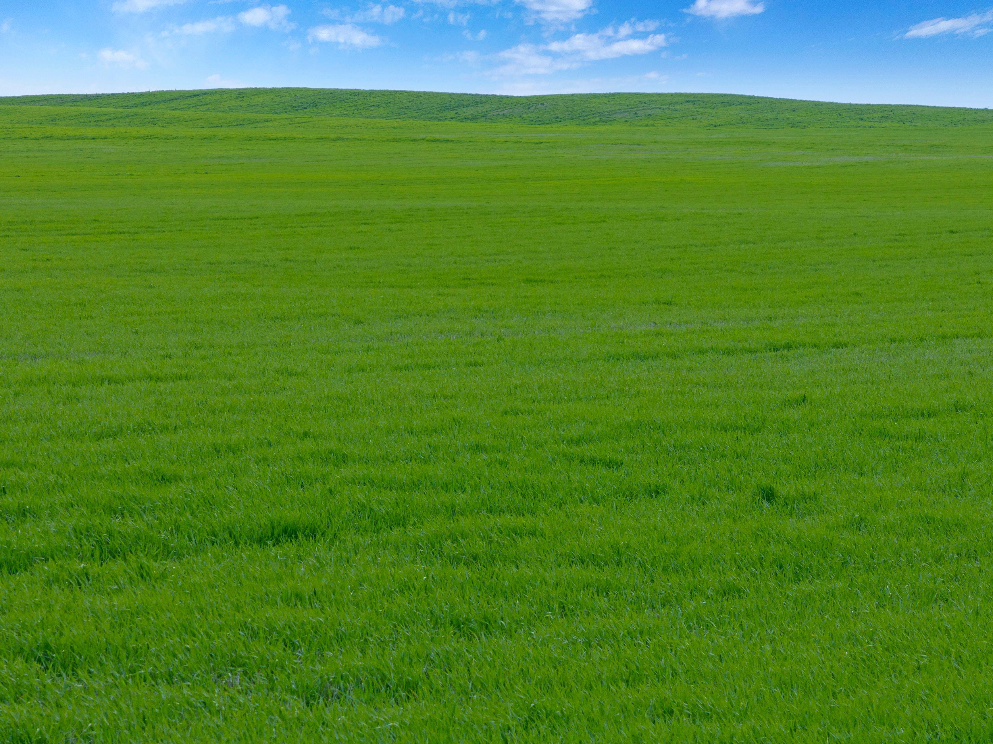 Versatile Dryland Cropping Property