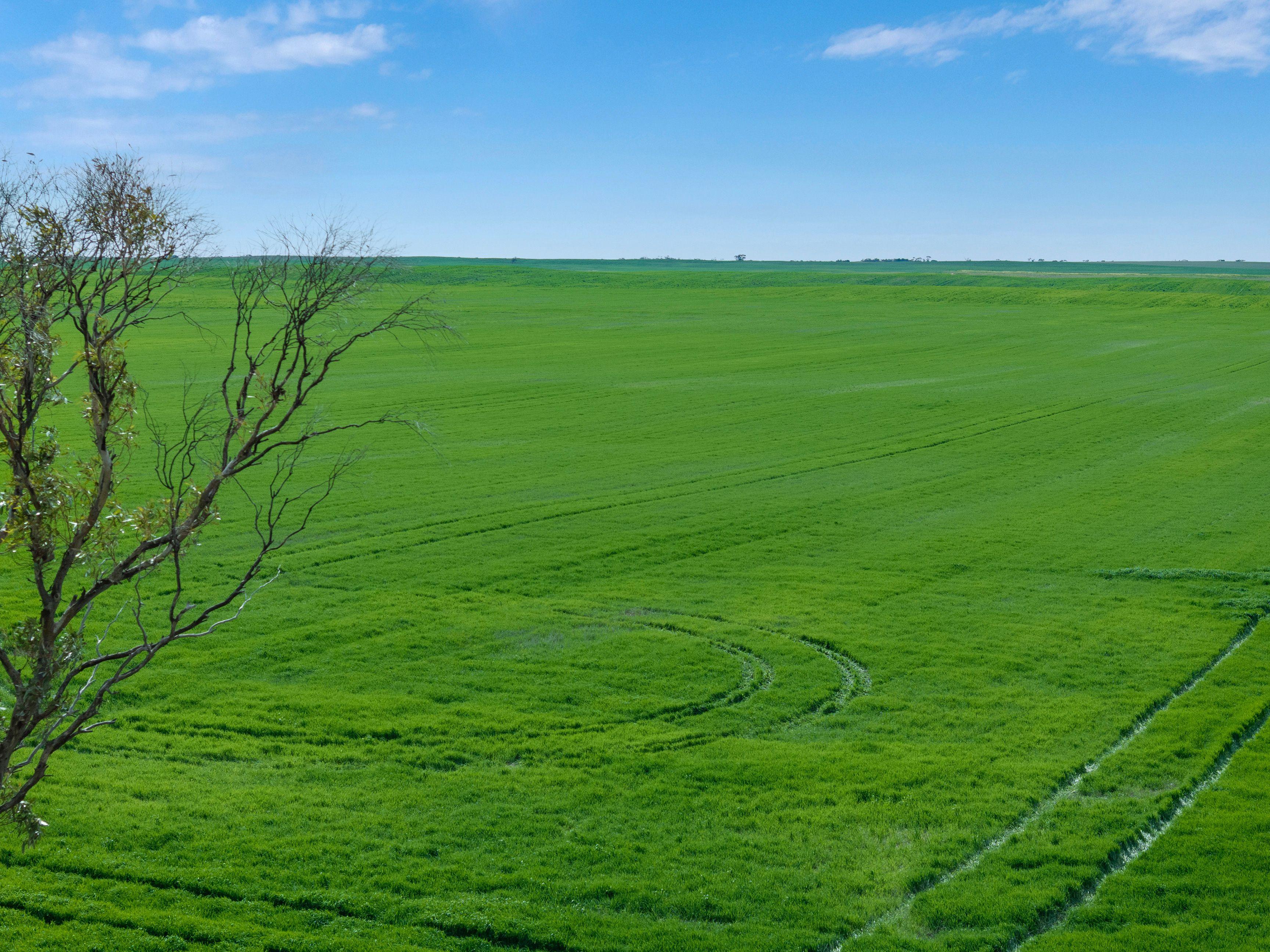 Versatile Dryland Cropping Property