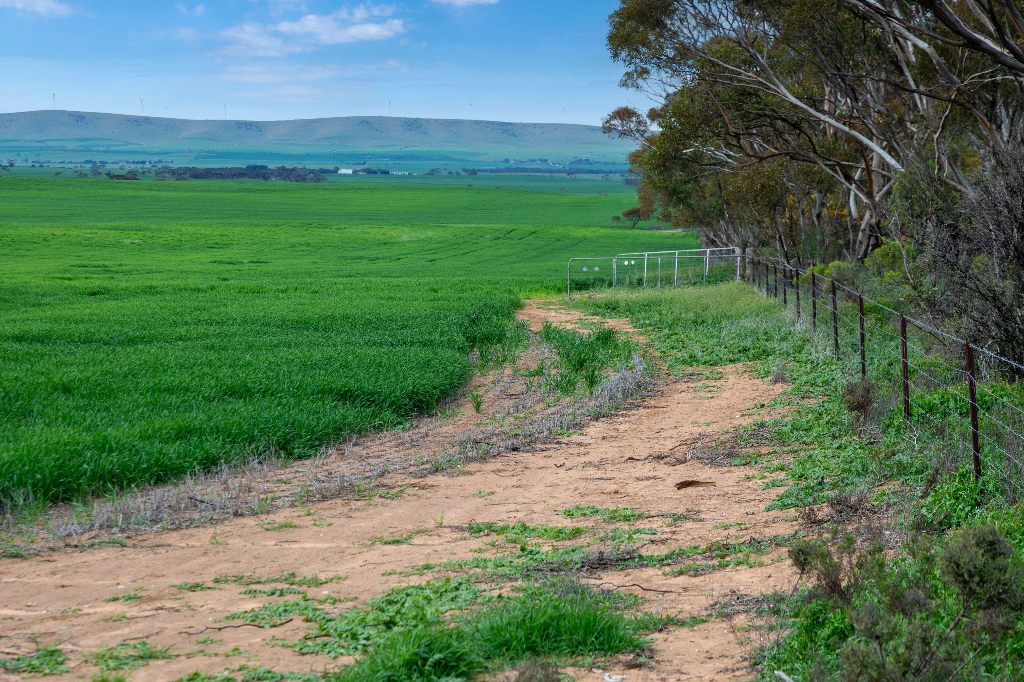 Versatile Dryland Cropping Property