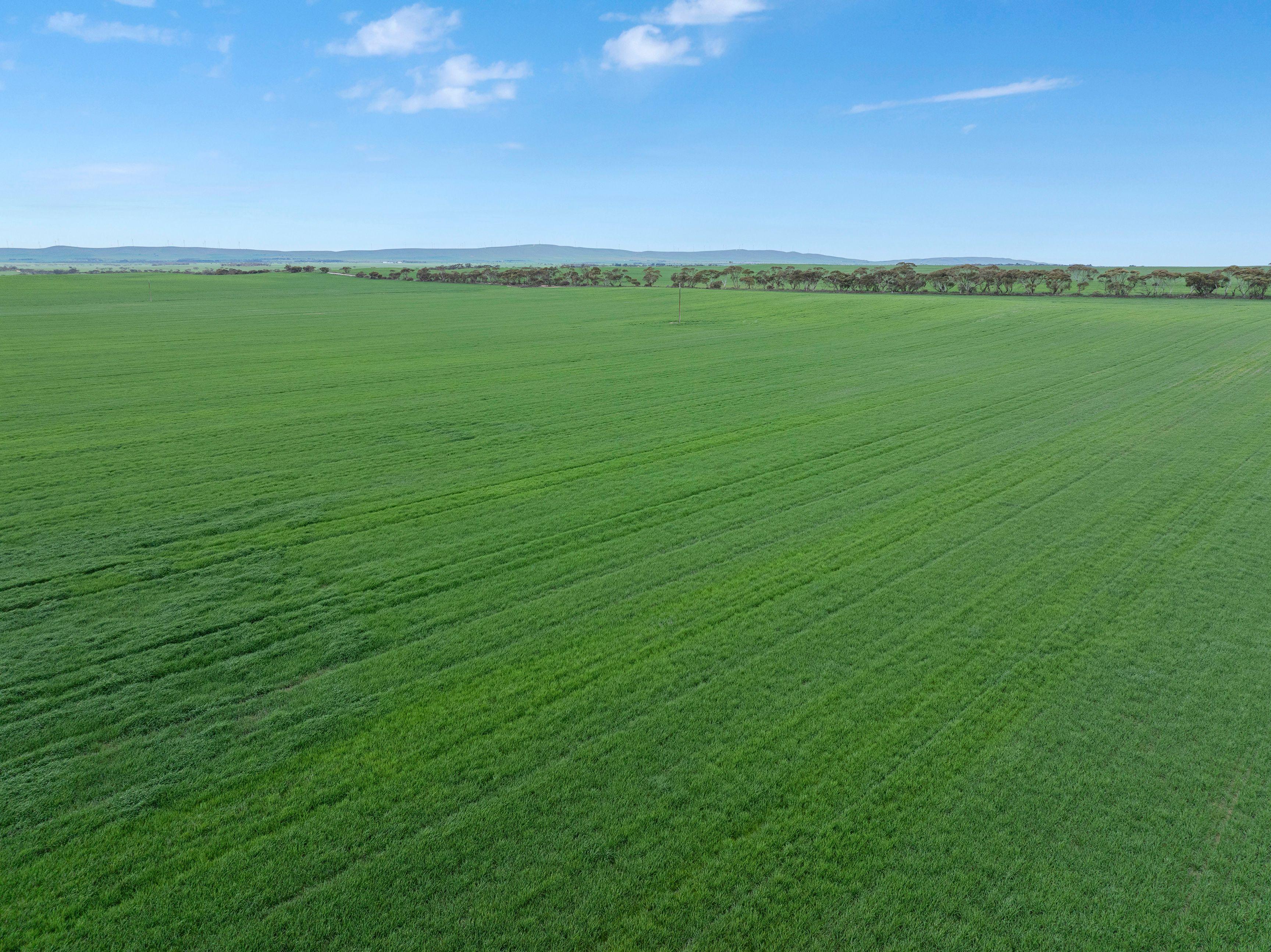 Versatile Dryland Cropping Property