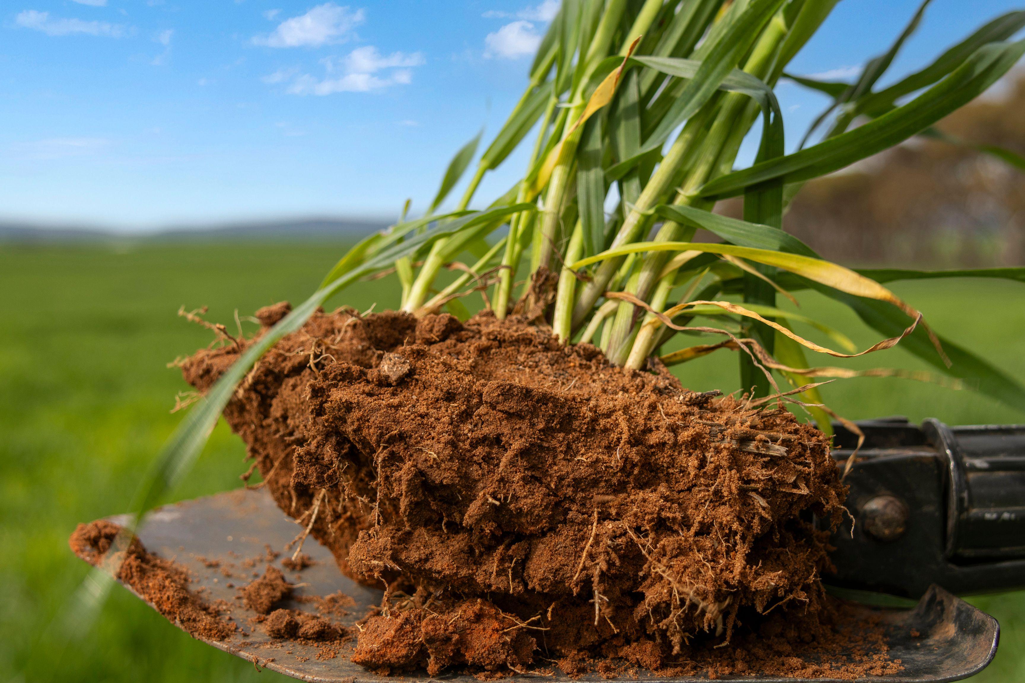 Versatile Dryland Cropping Property