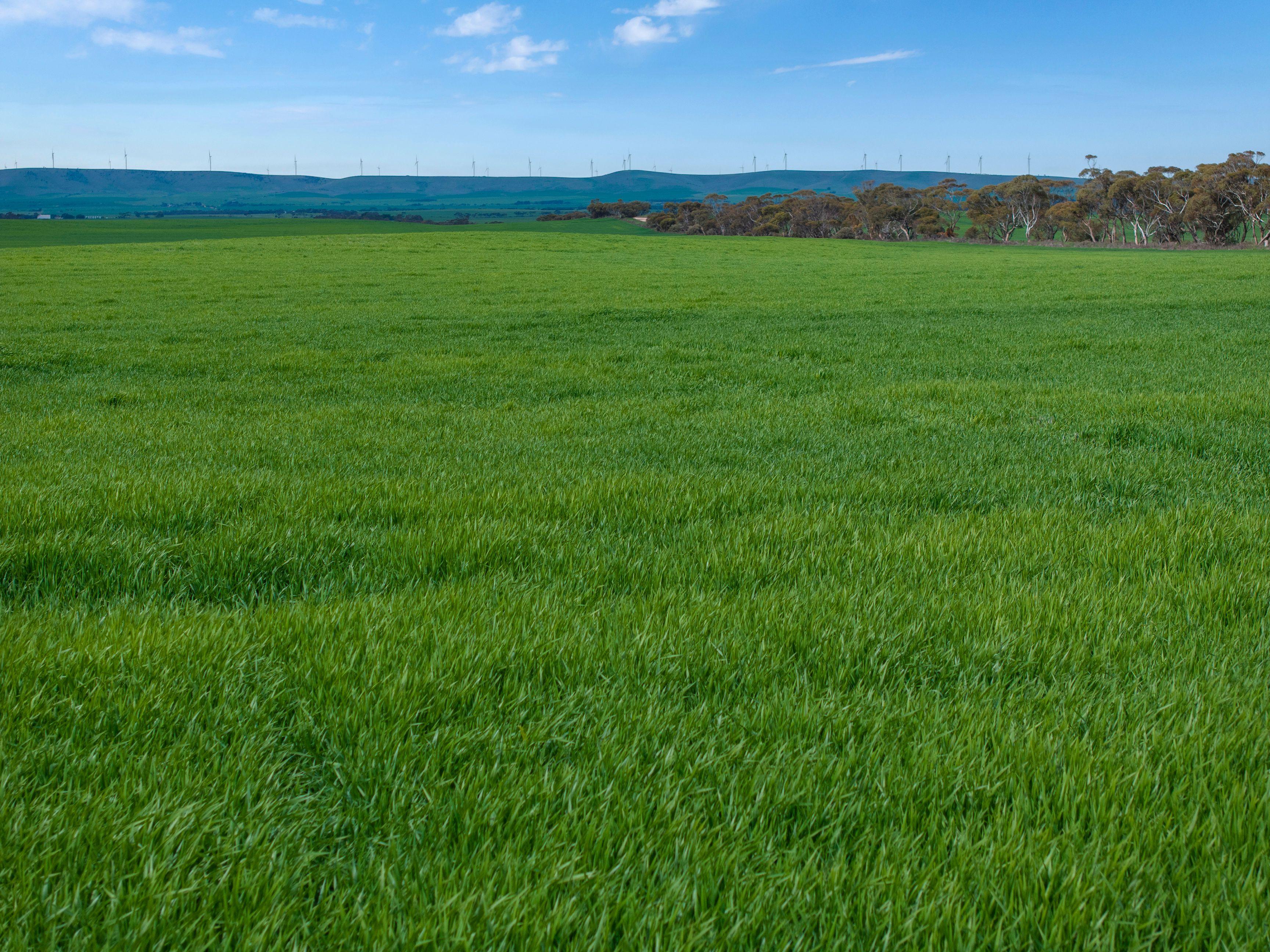 Versatile Dryland Cropping Property