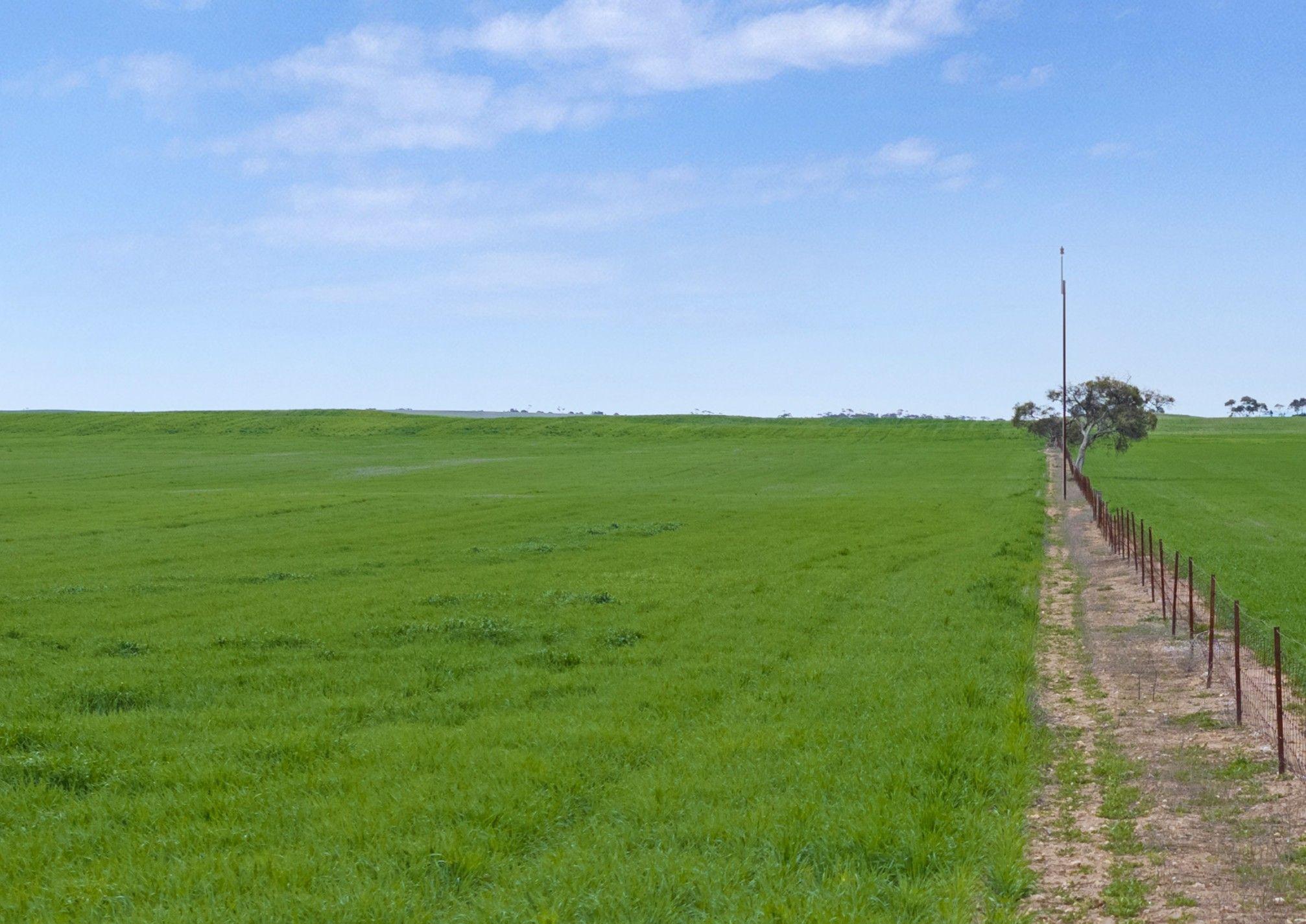 Versatile Dryland Cropping Property