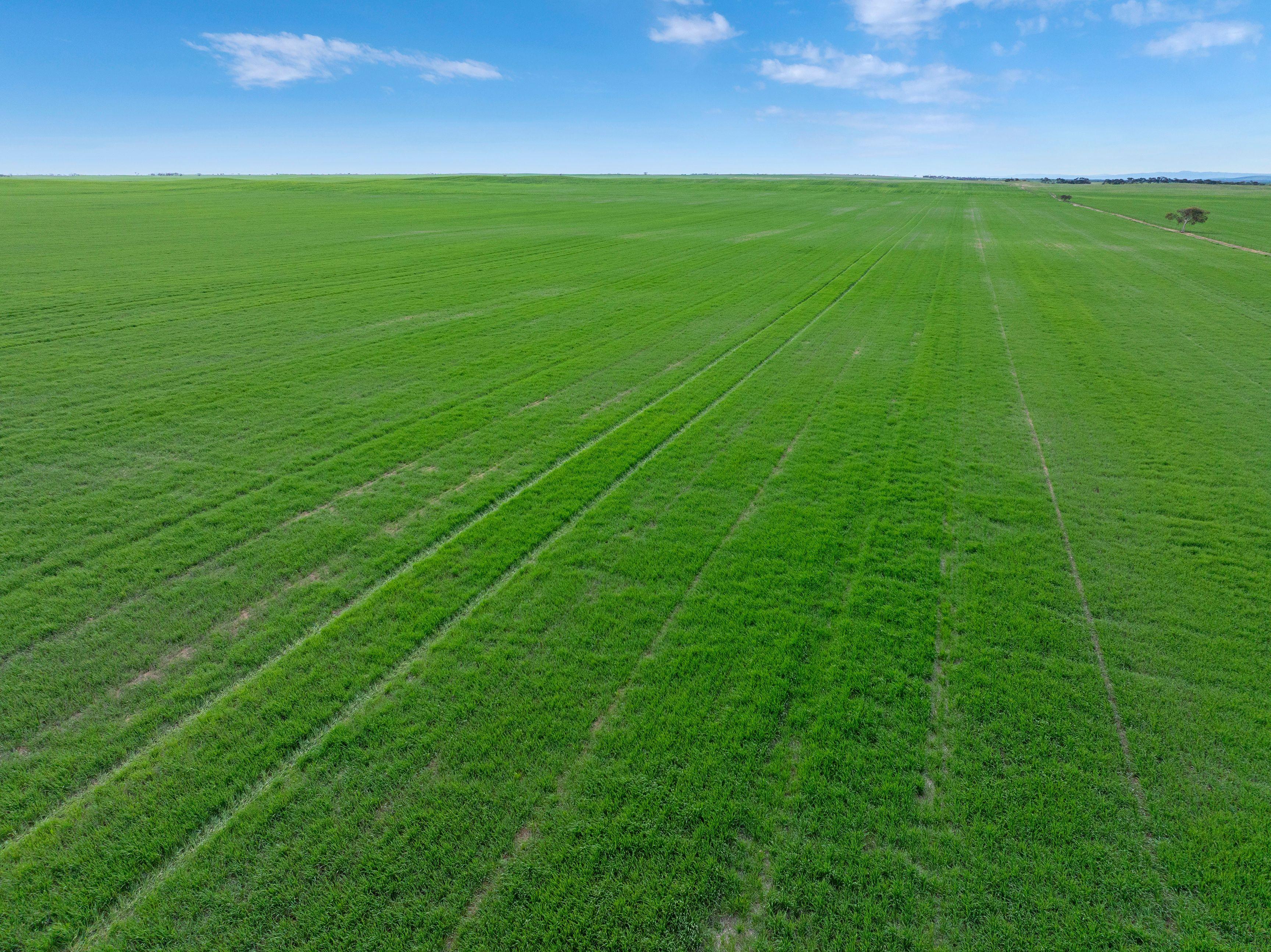 Versatile Dryland Cropping Property