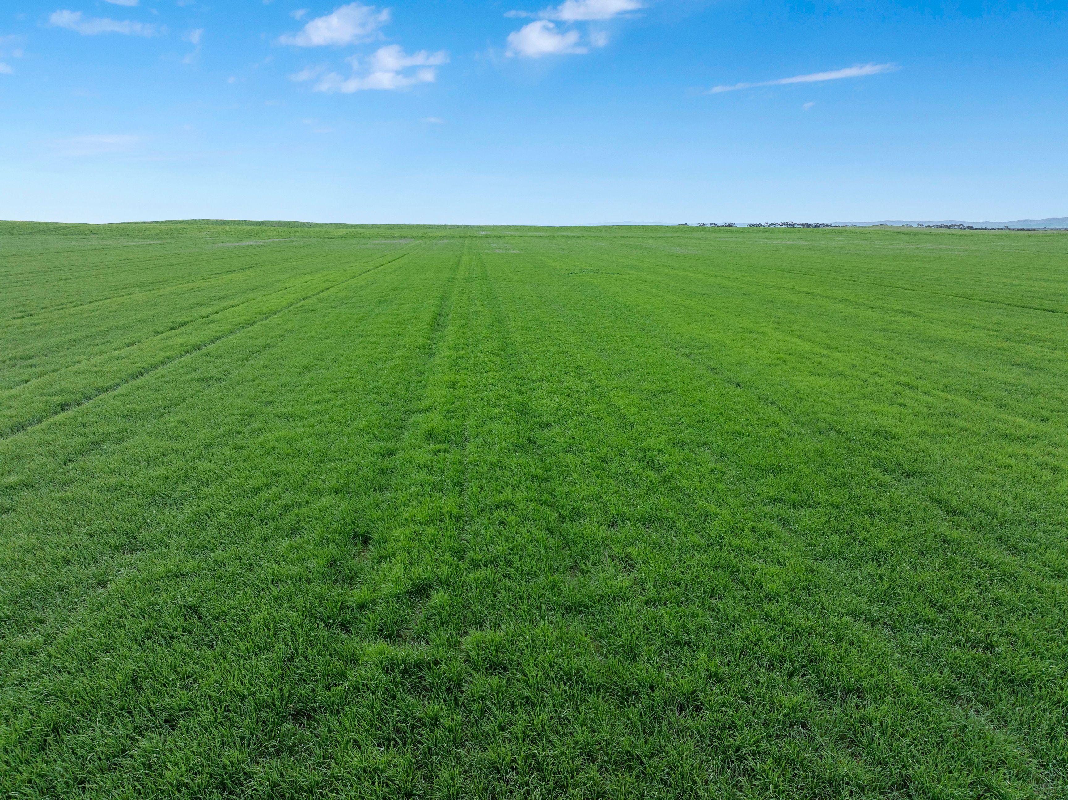 Versatile Dryland Cropping Property