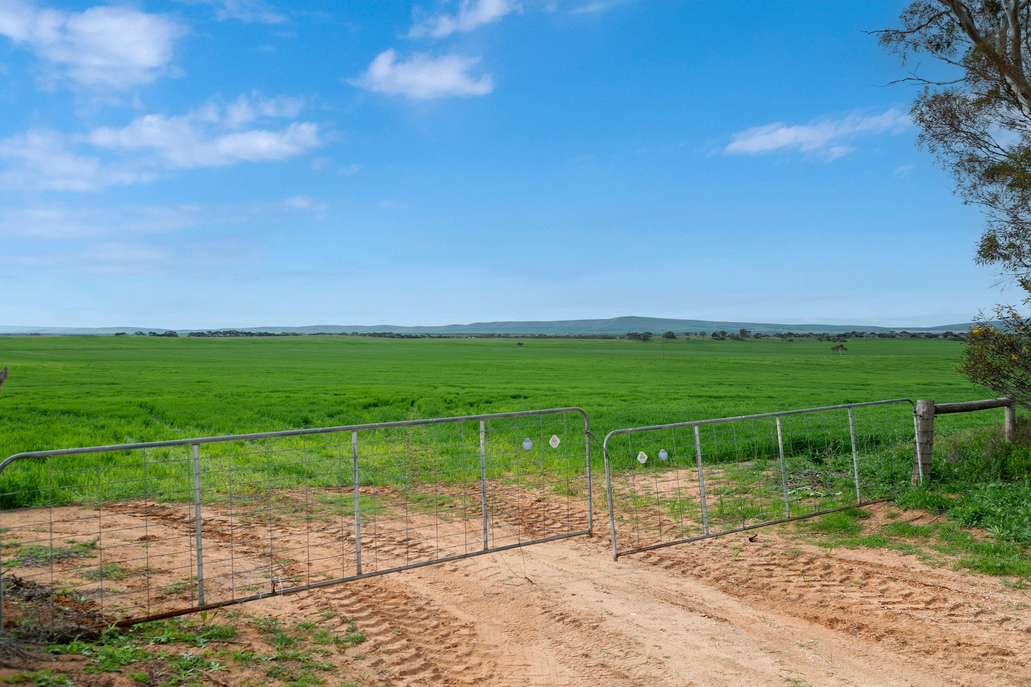 Versatile Dryland Cropping Property