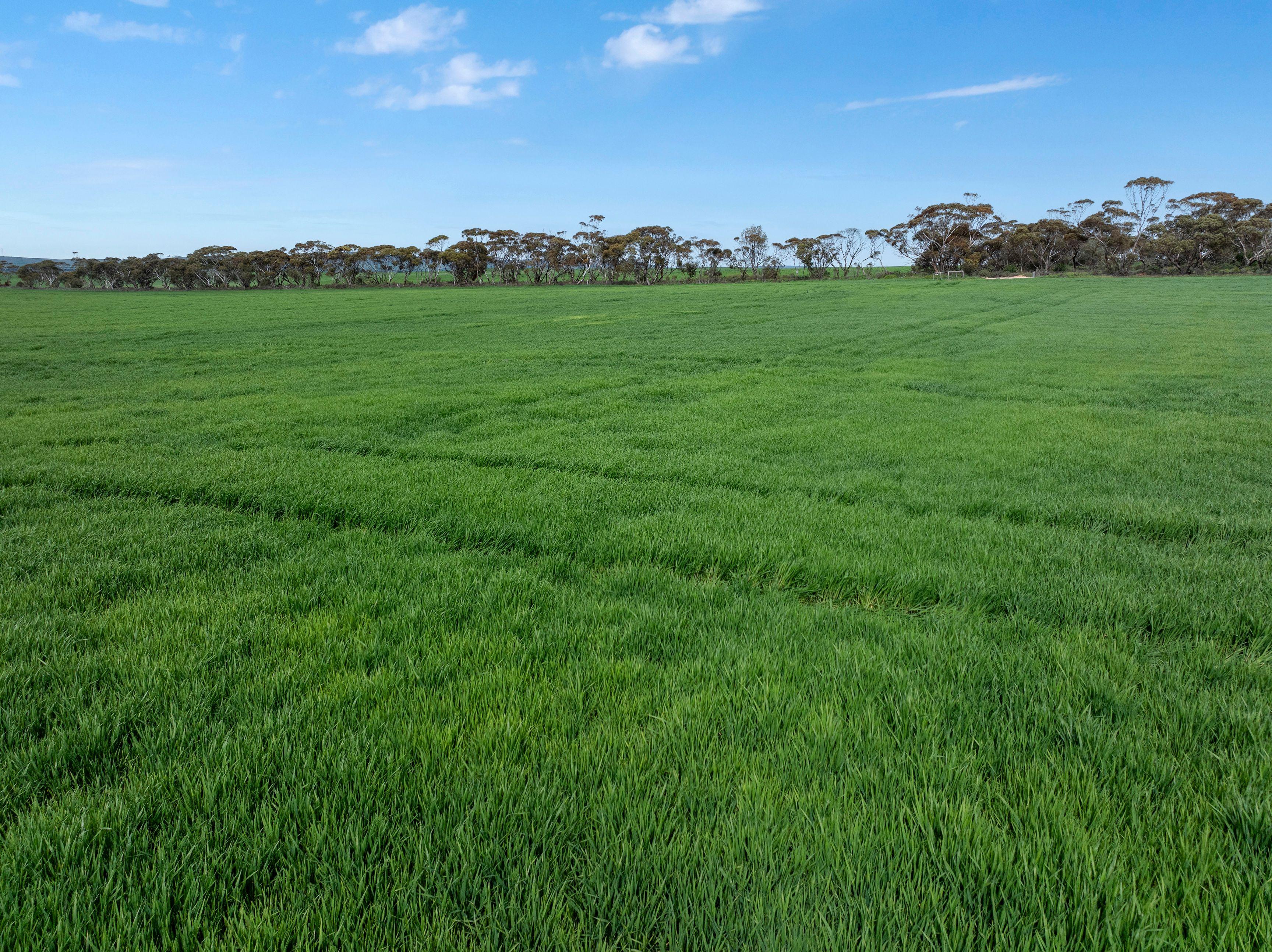 Versatile Dryland Cropping Property