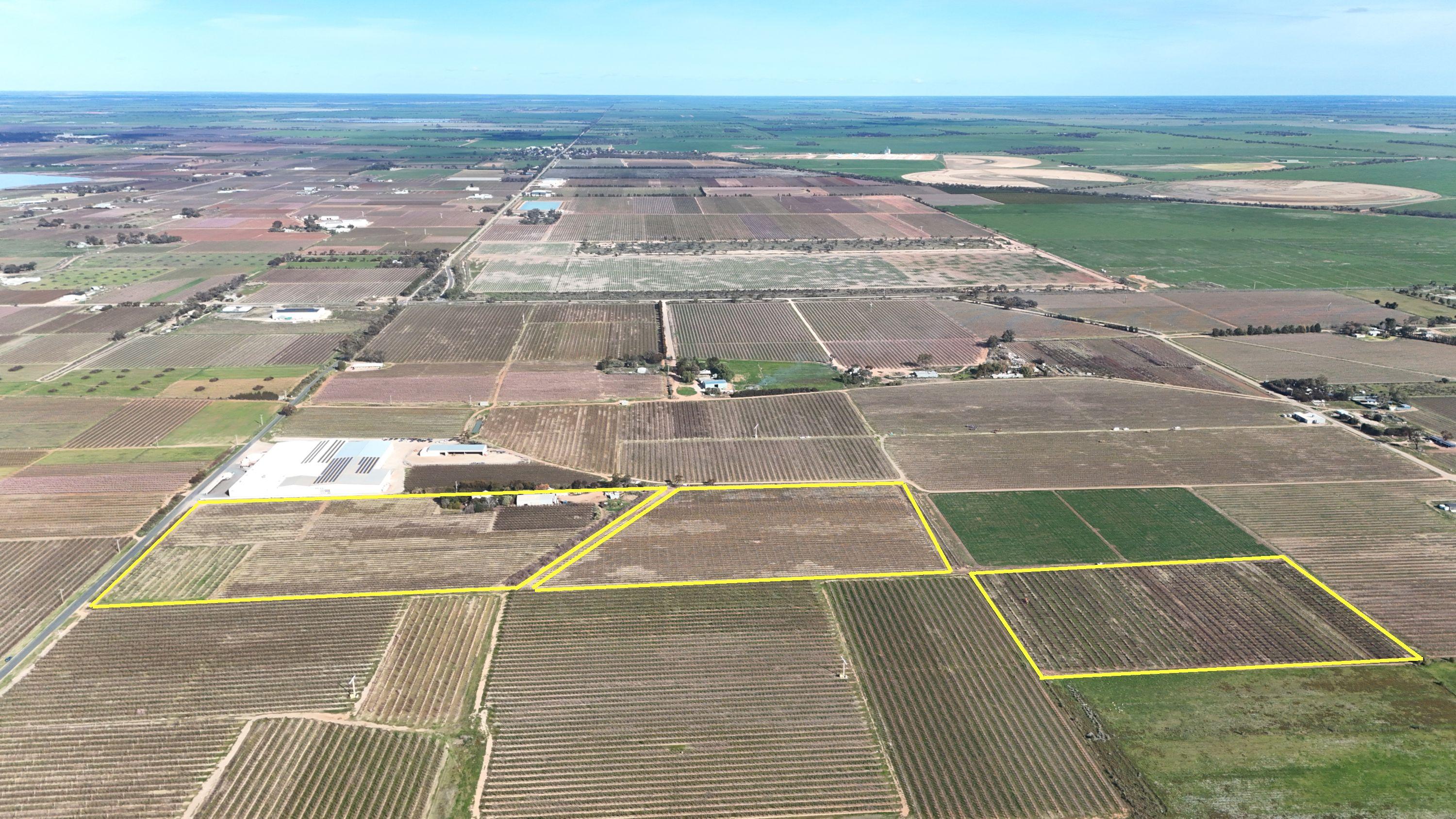 Exceptional Horticultural Investment with Solid Residential Base