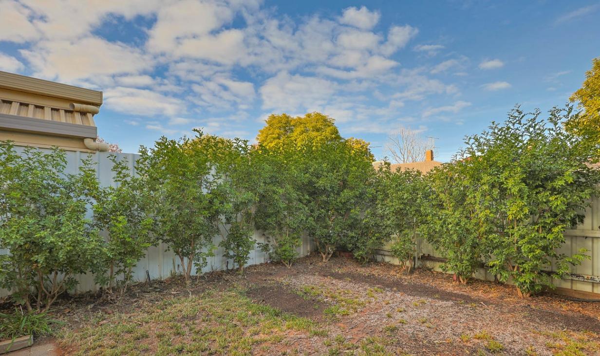 House for Rent: Mildura, VIC 3500, VIC, 3500