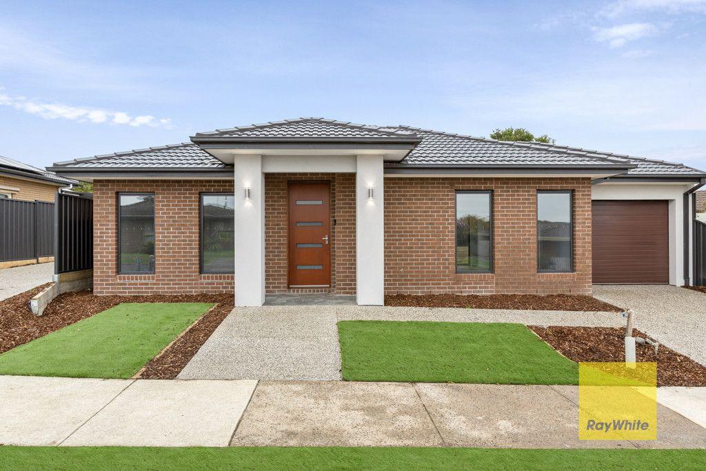 House for Rent: Grovedale, VIC 3216, VIC, 3216