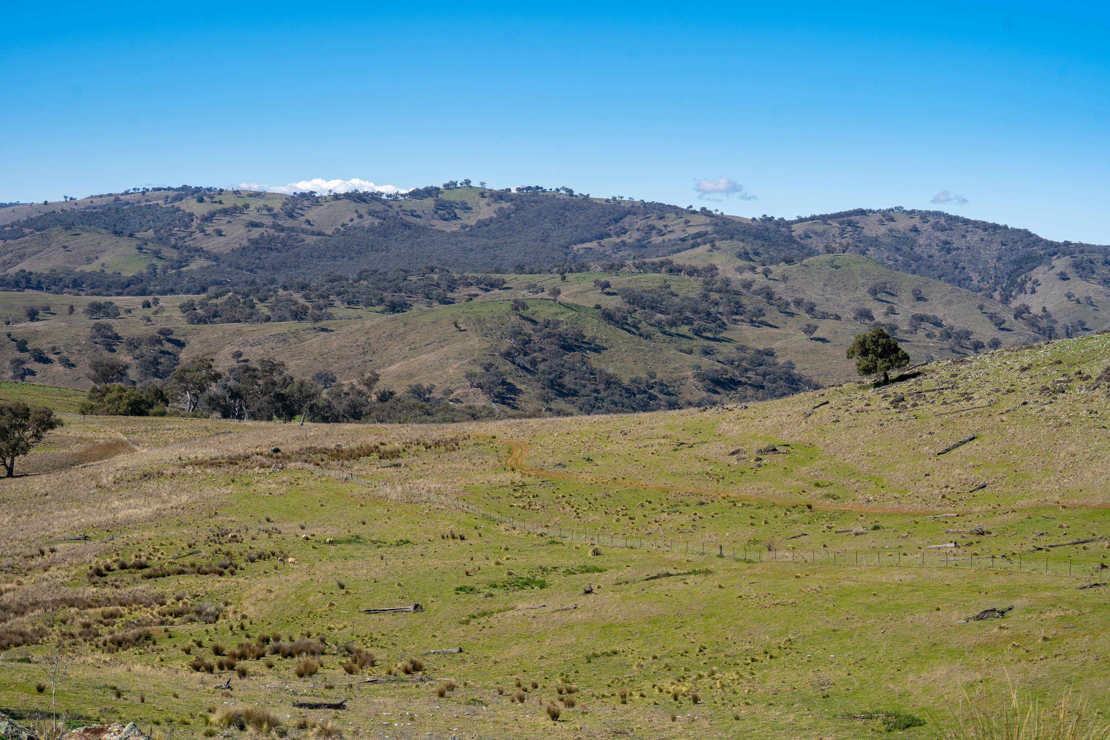 An Exceptional Rural Holding of Scale and Beauty
