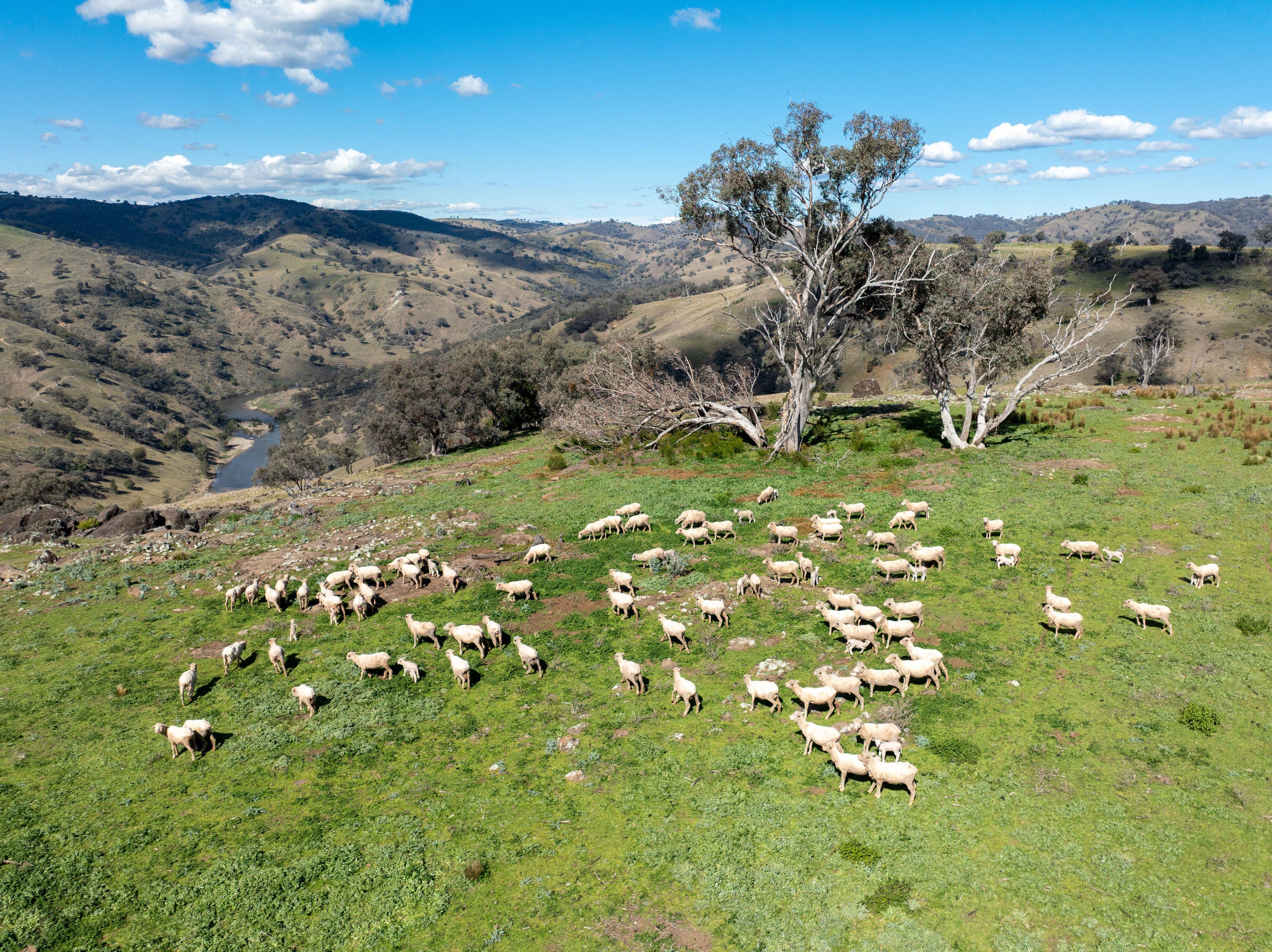 An Exceptional Rural Holding of Scale and Beauty