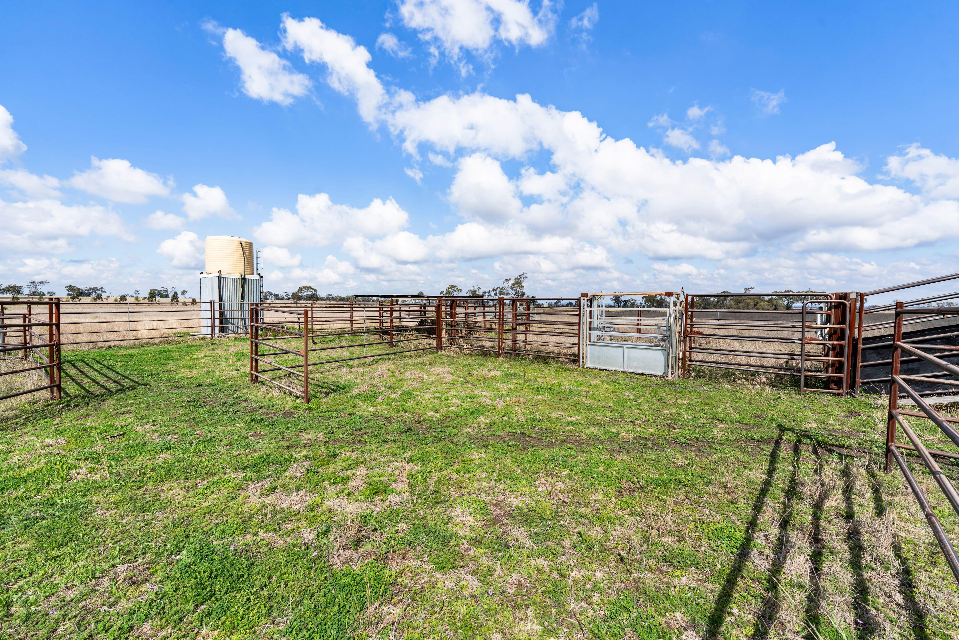 The Complete Darling Downs Lifestyle Package