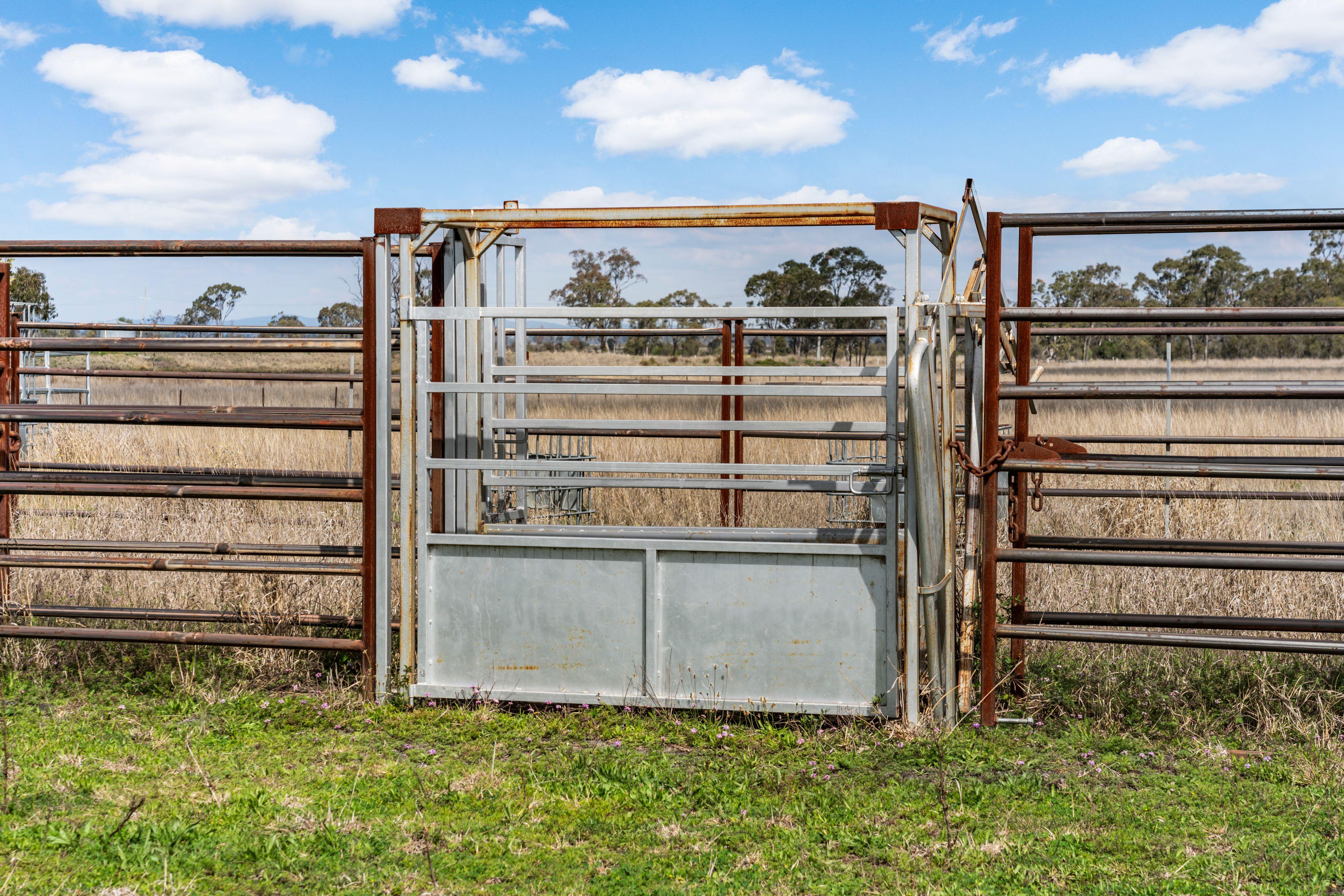The Complete Darling Downs Lifestyle Package