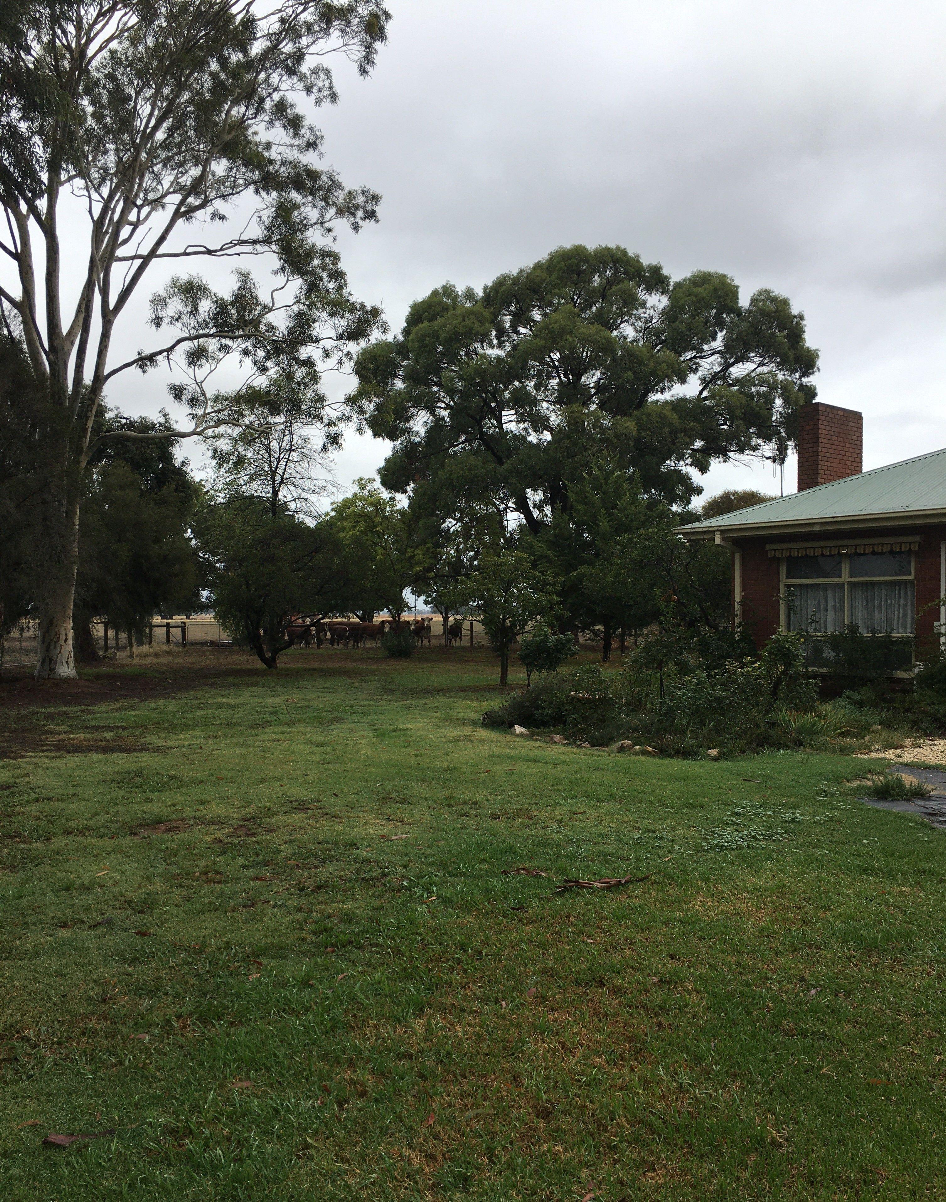 Please call Ray White Nagambie to book a viewing 03 5794 2777