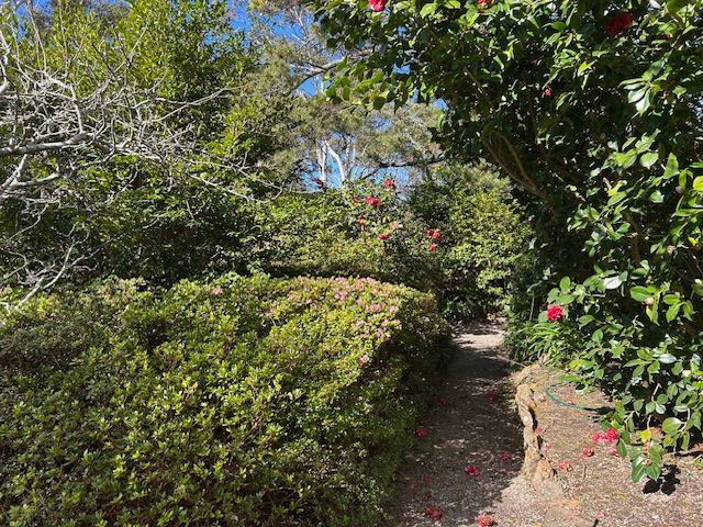 House for Rent: Blackheath, NSW 2785, NSW, 2785