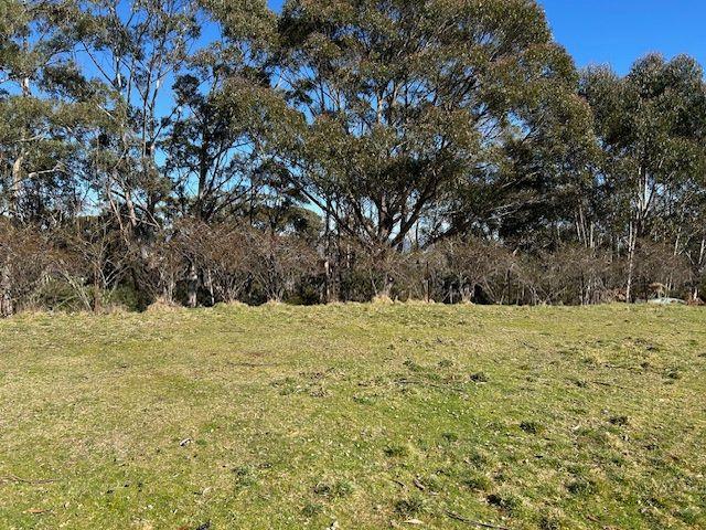 House for Rent: Mount Victoria, NSW 2786, NSW, 2786